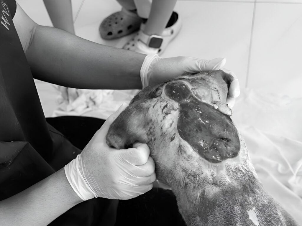 Deny — 3 years old, abused, and the first hands that touched him weren’t there to hurt him