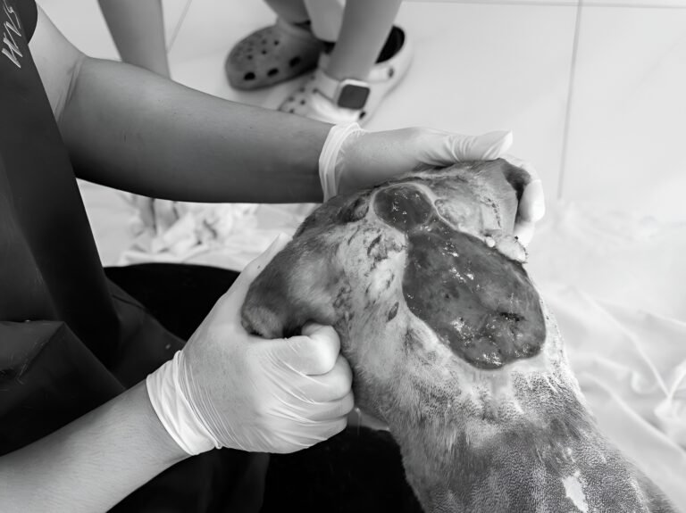 Deny — 3 years old, abused, and the first hands that touched him weren’t there to hurt him