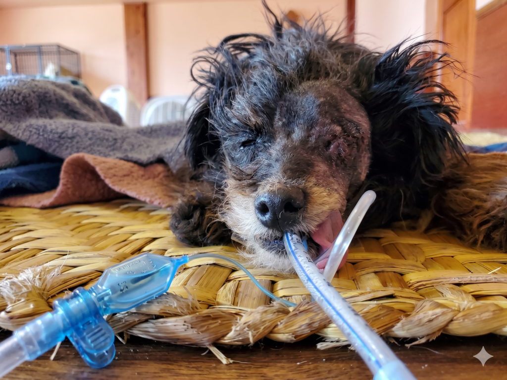 𝐂𝐚𝐭𝐢𝐧’𝐬 𝐒𝐭𝐨𝐫𝐲 𝐨𝐟 𝐒𝐭𝐫𝐞𝐧𝐠𝐭𝐡 — 𝐓𝐡𝐞 𝐓𝐮𝐦𝐨𝐫 𝐓𝐡𝐚𝐭 𝐀𝐥𝐦𝐨𝐬𝐭 𝐓𝐨𝐨𝐤 𝐄𝐯𝐞𝐫𝐲𝐭𝐡𝐢𝐧𝐠